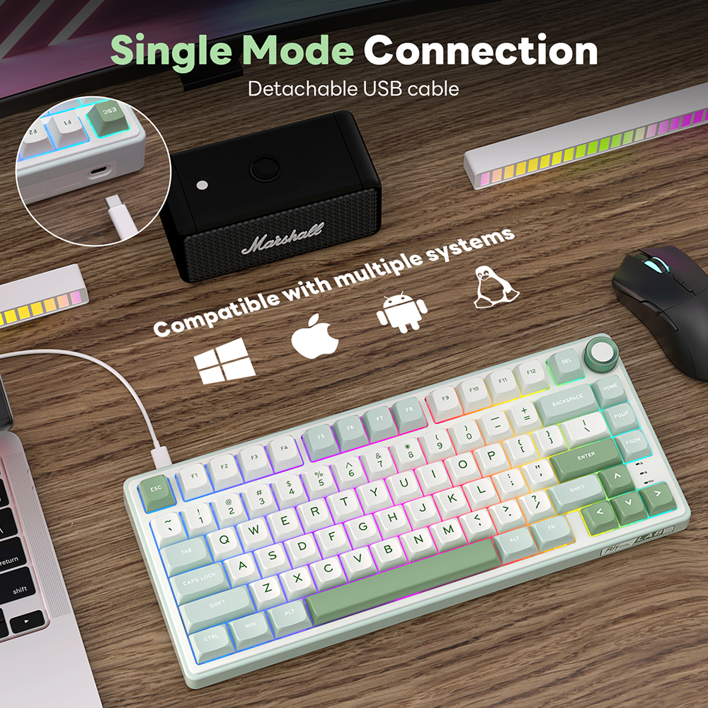 RK Royal Kludge R75 Gasket Wir - Gaming Keyboard Mobile recension och pris