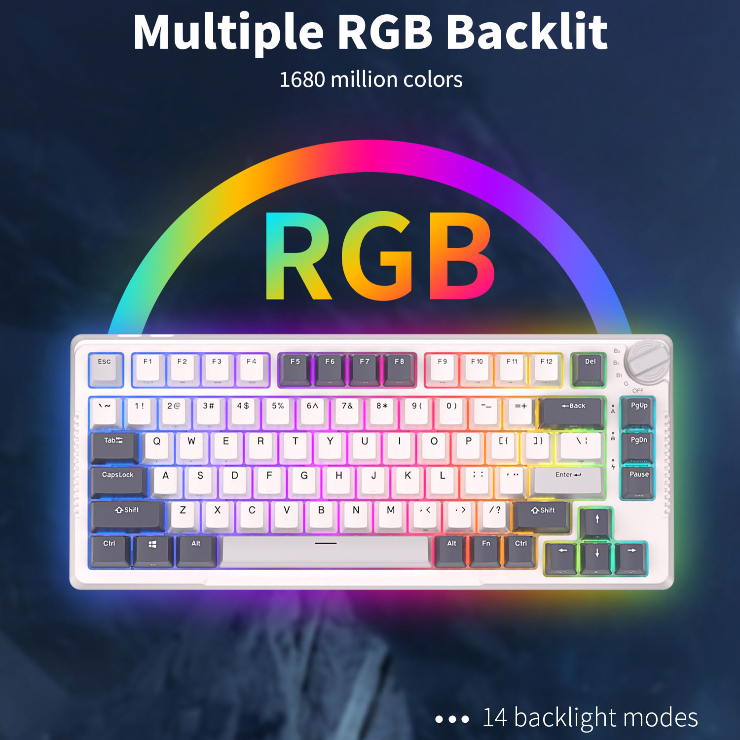 RK H81 Royal Kludge Gasket Str - Gaming Keyboard Mobile recension och pris